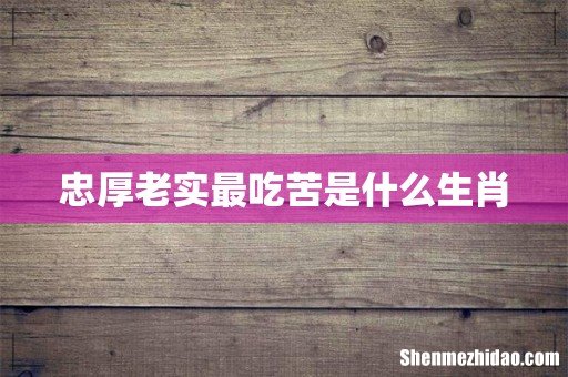 忠厚老实最吃苦是什么生肖