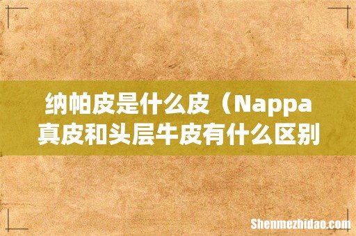 Nappa真皮和头层牛皮有什么区别 纳帕皮是什么皮