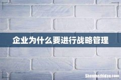 企业为什么要进行战略管理