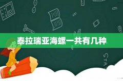 泰拉瑞亚海螺一共有几种