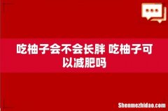 吃柚子会不会长胖 吃柚子可以减肥吗