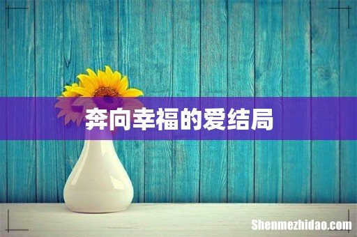 奔向幸福的爱结局