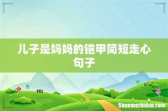 儿子是妈妈的铠甲简短走心句子