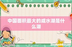 中国面积最大的咸水湖是什么湖