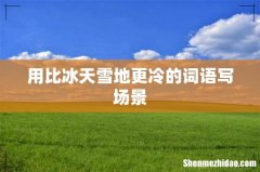 用比冰天雪地更冷的词语写场景