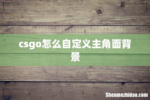 csgo怎么自定义主角面背景