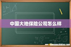 中国大地保险公司怎么样