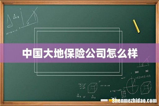 中国大地保险公司怎么样