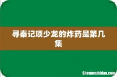 寻秦记项少龙的炸药是第几集