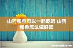 山药和鱼可以一起吃吗 山药和鱼怎么做好吃