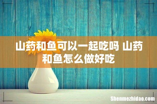 山药和鱼可以一起吃吗 山药和鱼怎么做好吃