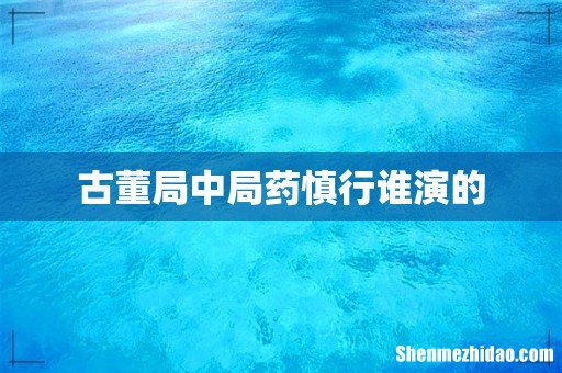 古董局中局药慎行谁演的