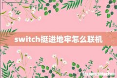 switch挺进地牢怎么联机