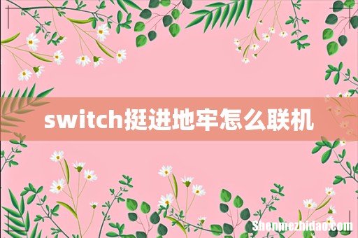 switch挺进地牢怎么联机