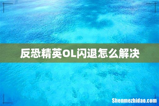 反恐精英OL闪退怎么解决