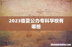 2023临夏公办专科学校有哪些