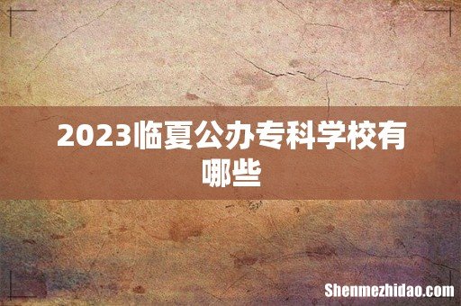 2023临夏公办专科学校有哪些