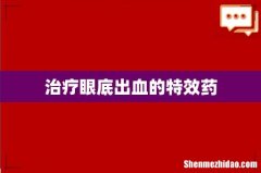 治疗眼底出血的特效药