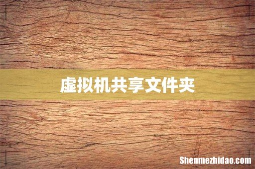 虚拟机共享文件夹
