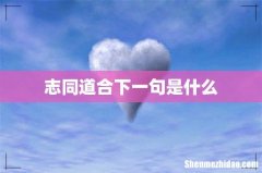 志同道合下一句是什么