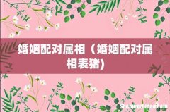 婚姻配对属相（婚姻配对属相表猪)