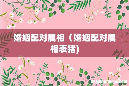 婚姻配对属相(婚姻配对属相表猪)