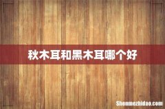 秋木耳和黑木耳哪个好