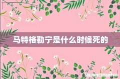 马特格勒宁是什么时候死的