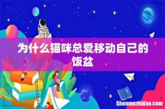 为什么猫咪总爱移动自己的饭盆