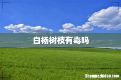 白杨树枝有毒吗