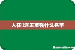 人在囧途王宝强什么名字
