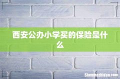 西安公办小学买的保险是什么