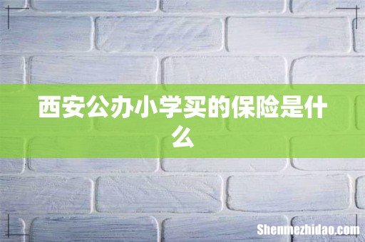 西安公办小学买的保险是什么
