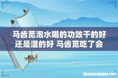 马齿苋泡水喝的功效干的好还是湿的好 马齿苋吃了会流产吗