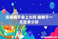 吃杨梅干会上火吗 杨梅干一天吃多少好