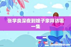张学良深夜到嫂子家拜访哪一集