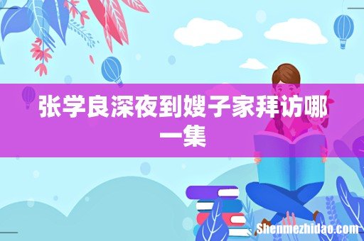 张学良深夜到嫂子家拜访哪一集