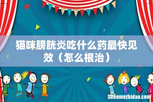 怎么根治 猫咪膀胱炎吃什么药最快见效