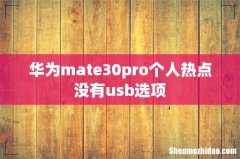 华为mate30pro个人热点没有usb选项