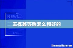 王栎鑫苏醒怎么和好的