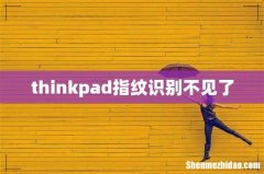 thinkpad指纹识别不见了