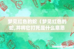 梦见红色的蛇（梦见红色的蛇,并将它打死是什么意思)