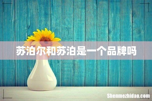 苏泊尔和苏泊是一个品牌吗