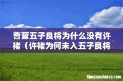 许褚为何未入五子良将 曹营五子良将为什么没有许褚