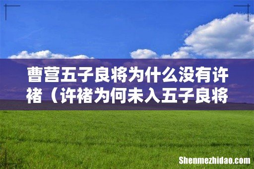 许褚为何未入五子良将 曹营五子良将为什么没有许褚