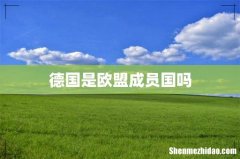 德国是欧盟成员国吗