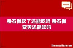 番石榴软了还能吃吗 番石榴变黄还能吃吗