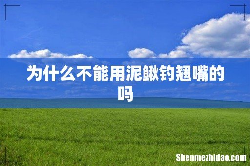 为什么不能用泥鳅钓翘嘴的吗