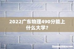 2022广东物理490分能上什么大学？