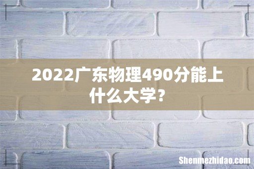 2022广东物理490分能上什么大学？